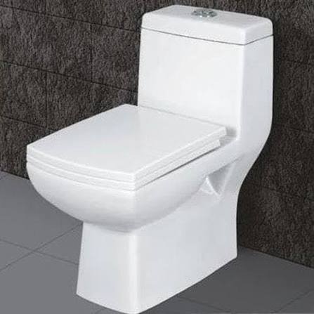 One-Piece Toilets